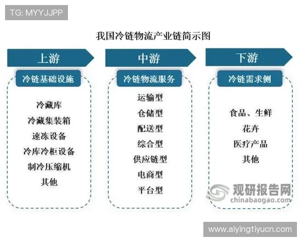 威廉体育：全面解析其在体育博彩行业的领先地位与发展前景