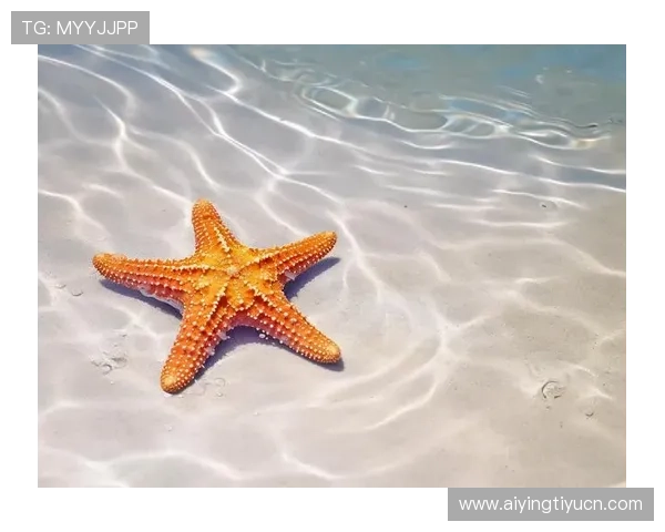 海星体育登录下载常见问题解答帮助用户快速解决登录与下载中的疑难杂症